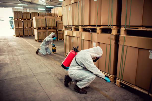 Best Wasp Removal Services  in Brewster, WA