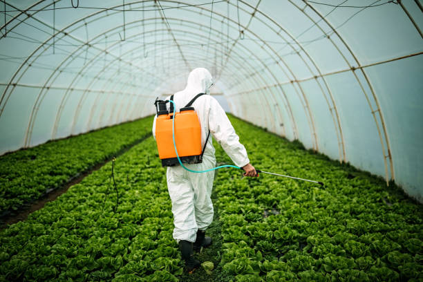 Trusted Brewster, WA Pest Control Experts