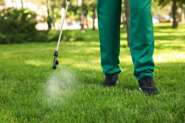 Best Local Pest Control Services  in Brewster, WA