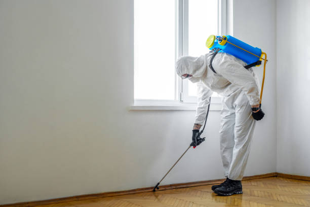 Best Exterminator Services  in Brewster, WA