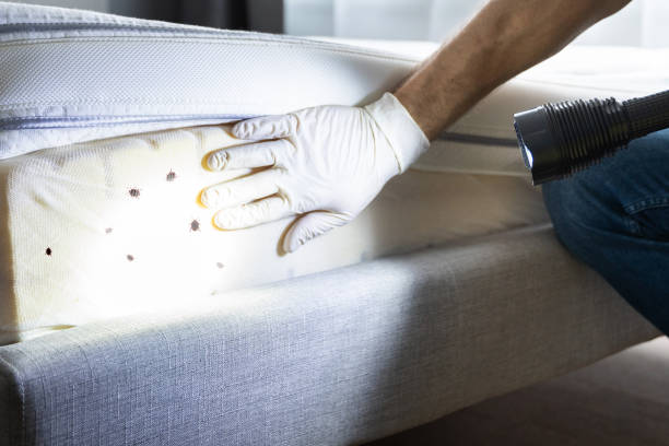 Pest Control Cost in Brewster, WA