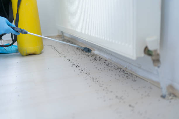 Best Commercial Pest Control Services  in Brewster, WA