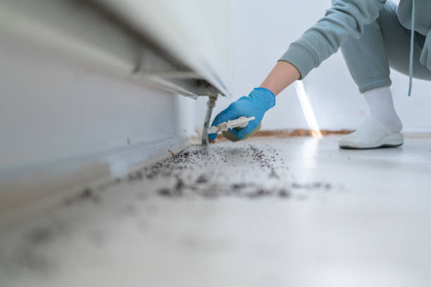 Trusted Brewster, WA Pest Control Experts